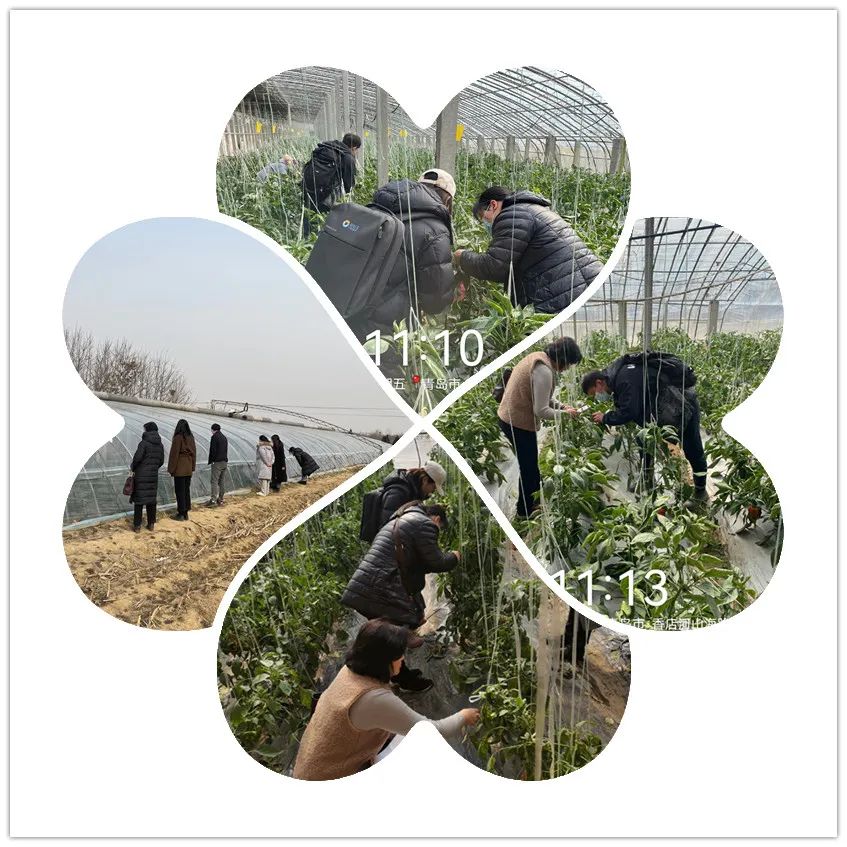 1646961123946800.jpg 640.jpg